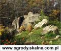 Skalniak     www.ogrody.skalne.com.pl